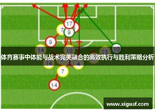 体育赛事中体能与战术完美融合的高效执行与胜利策略分析